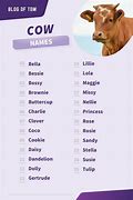 Image result for Funny Cow Names