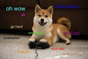 Image result for Know Your Meme Doge