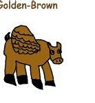 Image result for Golden Bro Dog Meme