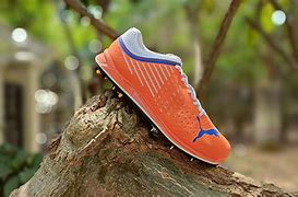 Image result for Custom Cricket Spikes