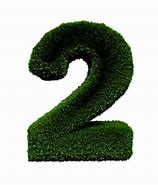 Image result for Number Two On Grass