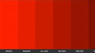 Image result for Scarlette Color Palette