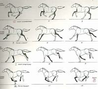 Image result for Horse Animation Steps