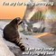Image result for Raccoon Meme with Color Y Texts