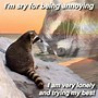 Image result for Raccoon This Big Meme