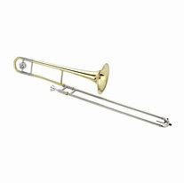 Image result for Double Trombone Case