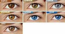 Image result for Realistic Contact Lenses
