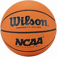 Image result for Wilson Basketball