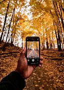 Image result for Person On Phone in Nature