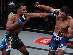 Image result for Mixed Martial Arts Physique