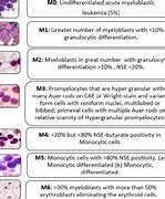 Image result for Acute Myeloid Leukemia Subtypes