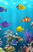 Image result for Aquarium Wallpaper