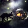 Image result for Galaxy Cat PC Wallpaper