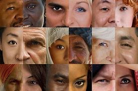 Image result for The Physical Differences of People around the World