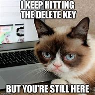 Image result for Delete That Cat Meme