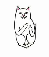 Image result for Gato Middle Finger