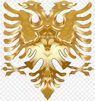 Image result for Albania Flag Eagle
