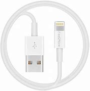 Image result for 100 FT iPhone Cable