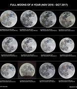 Image result for Lunar New Year Full Moon