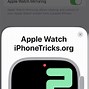 Image result for iOS 16 Greenscreen Bug