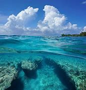Image result for Sea Surface and Seabed