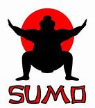 Image result for Elite Sumo