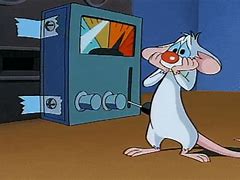 Image result for Pinky and the Brain Meme for President
