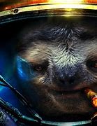 Image result for Astronat Sloth