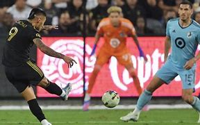 Image result for Lafc Championships
