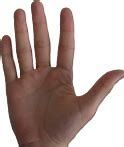 Image result for iPhone Hand PNG