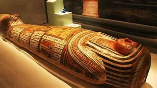 Image result for Mummies Facts