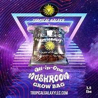 Image result for Mushroom Grow Bags