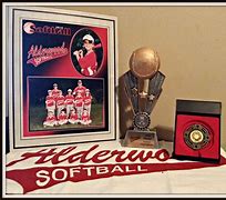 Image result for Softball Trophies