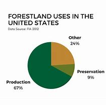 Image result for Forest Statistics