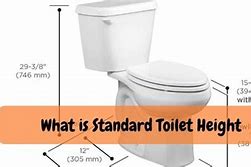 Image result for Comfort Height Toilet