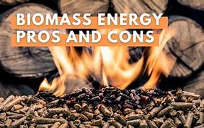 Image result for Pros and Cons of Biomass Energy