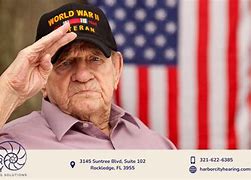 Image result for VA Hearing Aids