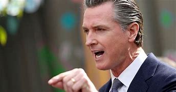 Image result for Gresy Gavin Newsom Image