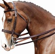 Image result for English Horse Bridle
