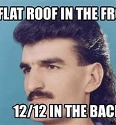 Image result for Stuck On the Roof Meme