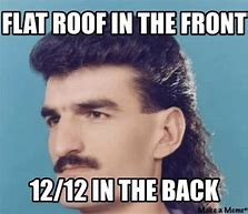 Image result for Stuck On the Roof Meme