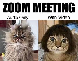 Image result for Virtual Meeting Meme