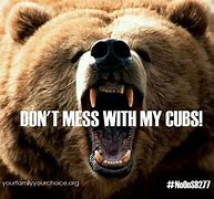 Image result for Angry Momma Bear