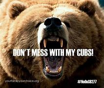 Image result for Mad Mama Bear