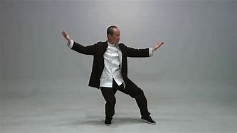 Image result for Fu Style Tai Chi