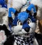 Image result for Dangerously Cheesy Furry Meme