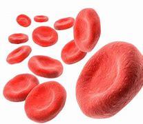Image result for hemoglobina
