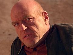 Image result for Lucky Hank Breaking Bad