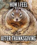 Image result for Funny Memes Wild Turkey Thanksgiving