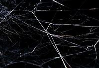 Image result for Shattered Screen Wire